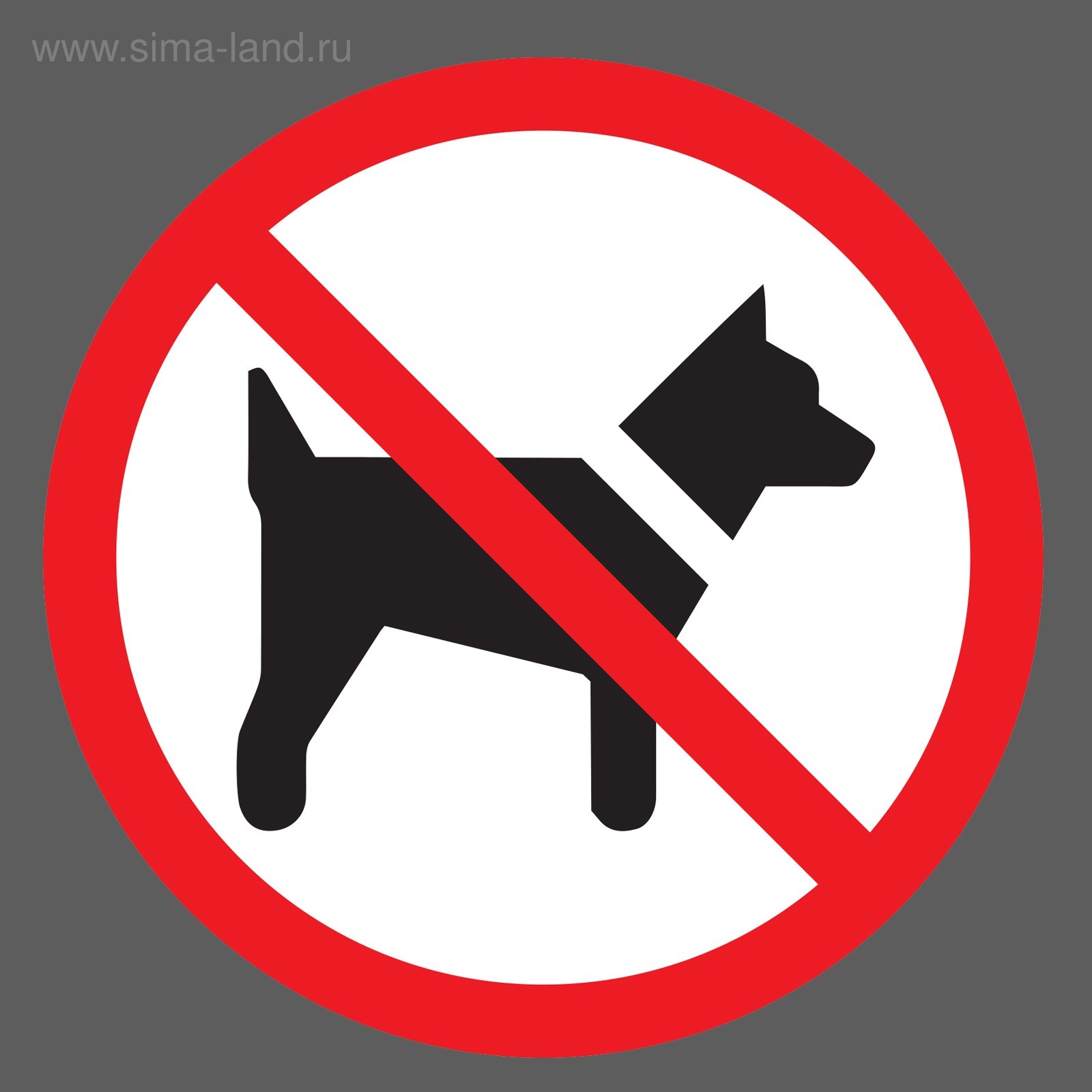 Не справляется с собакой. Что нельзя собакам. С собаками нельзя табличка. Запрещенные собаки. Знак с собаками нельзя.