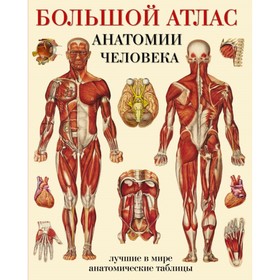 Большой атлас анатомии человека. Махиянова Е. Б. 3796562