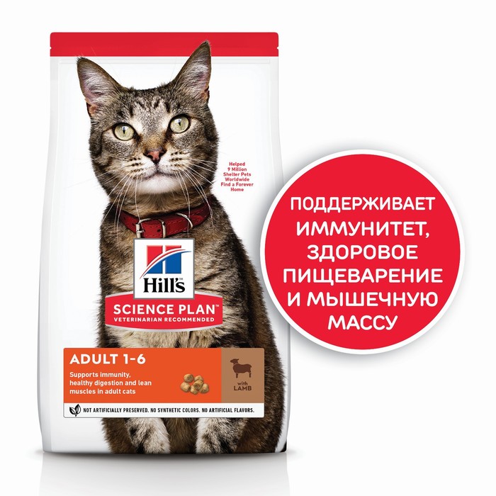 Сухой корм Hill's Cat lamb для кошек, баранина, 10 кг