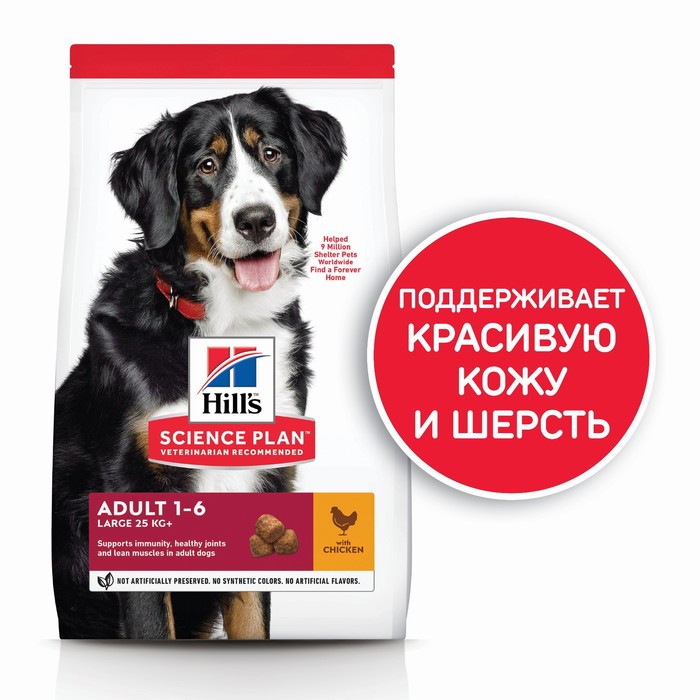 Сухой корм Hill's Dog large breed для собак крупных пород, 12 кг