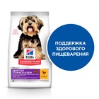 Сухой корм Hill's SP Sensitive Stomach & Skin для собак мелких пород, курица, 1,5 кг - фото 8104717