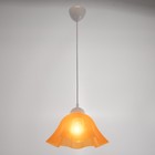 Светильник "Симпл" 1x40Вт E27 оранжевый - фото 3003541