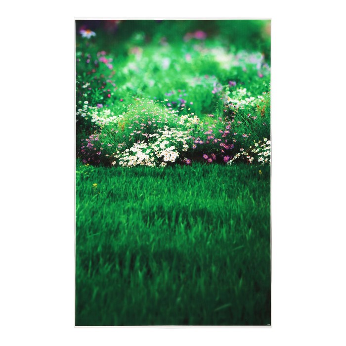 Фотофон винил "Зелёная лужайка с ромашками" стена+пол 80х125 см