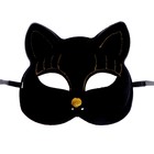 Карнавальная маска «Кошечка», цвета МИКС - фото 6602412