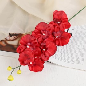 Flower artificial Orchid 9*60 cm, red