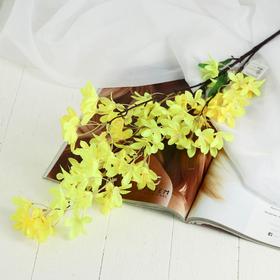 Цветы искусственные "Акация" 4х90 см, жёлтый