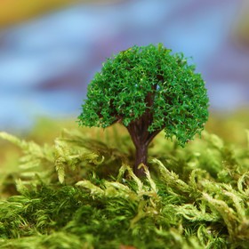 Миниатюра кукольная, набор 4 шт «Дерево» размер 1 шт: 2×2×3,5 см, цвет зелёный