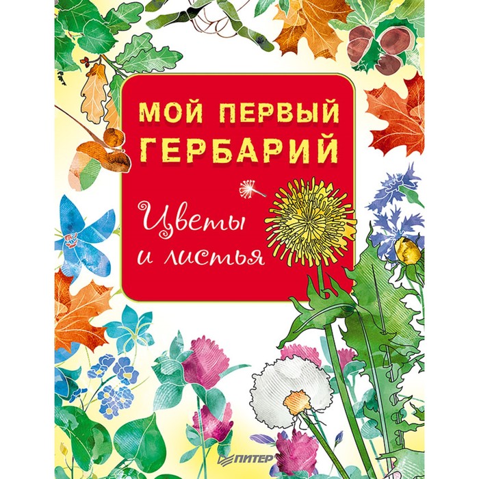 Вы и ваш ребенок. Мой первый гербарий. Цветы и листья.