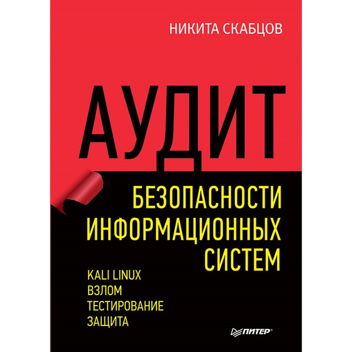 Библиотека программиста. Аудит безопасности информационных систем. Скабцов Н В