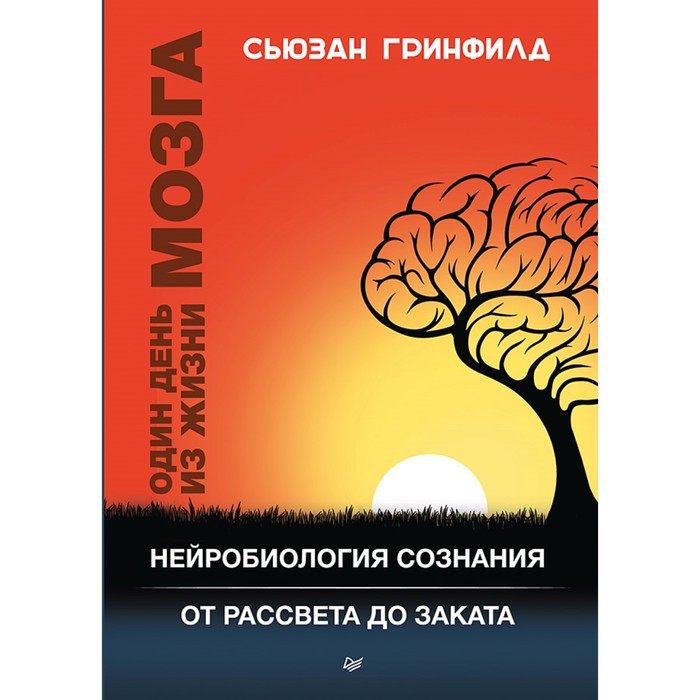 New Med. Один день из жизни мозга. Нейробиология сознания от рассвета до заката. Гринфилд