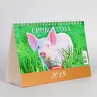 Календарь настольный, домик "Символ года - 1" 2019 год, 20х14см Календарь настольный, домик "Символ года - 1" 2019 год, 20х14см
