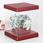Коробка для цветов с вазой и PVC-окнами складная «Для самой элегантной», 23 × 30 × 23 см - фото 6985170