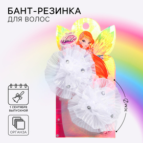 Бант для волос, ВИНКС, МИКС (набор 2 шт) 3513574