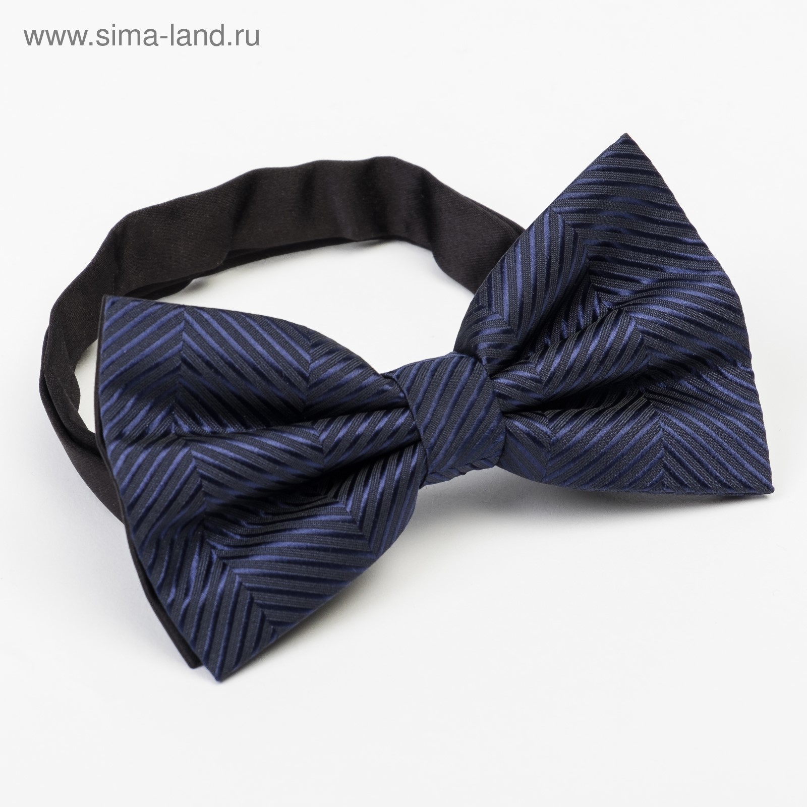 Мужская Бабочка Фото