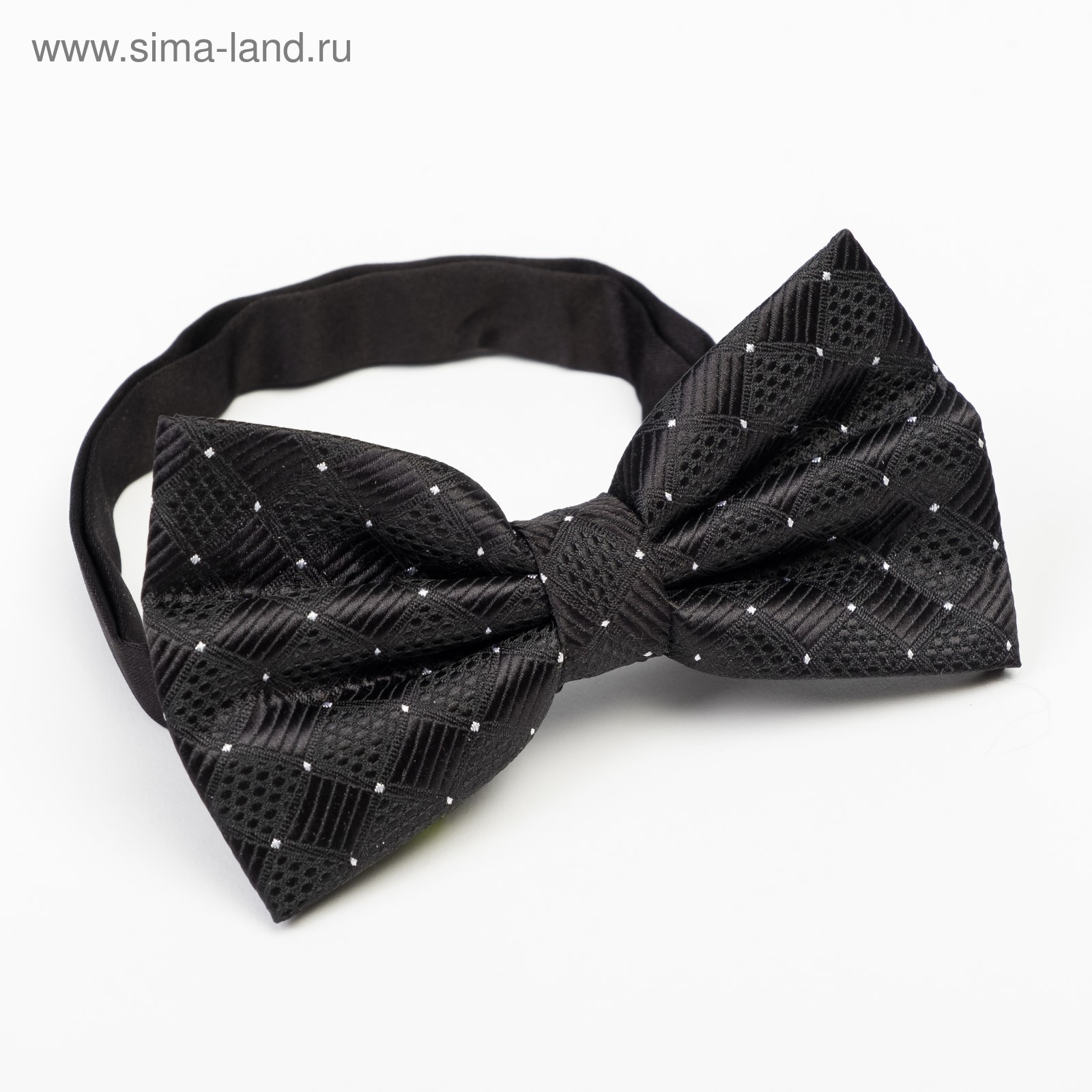 Мужская Бабочка Фото