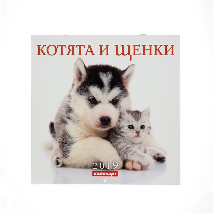 Календарь на скрепке &quot;Котята и щенки&quot; 2019 год, 28,5х28,5см