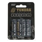 Батарейка алкалиновая TUNDRA, АА, LR6, блистер, 4 шт Батарейка алкалиновая TUNDRA, АА, LR6, блистер, 4 шт