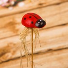 Decor Lolly "ladybug"