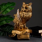 Копилка "Сова с пером" 25х30х45см бронза Копилка "Сова с пером" 25х30х45см бронза