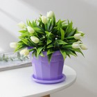Flower pot is 0.7 l, color purple