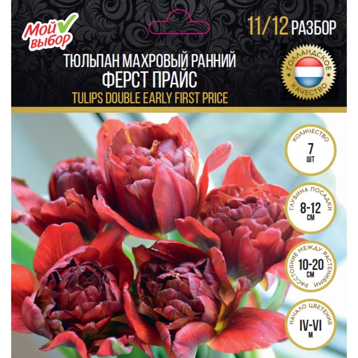 Тюльпан махровый ранний Ферст Прайс, р-р 11/12, 7 шт