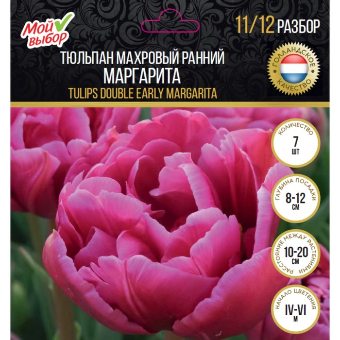 Тюльпан махровый ранний Маргарита, р-р 11/12, 7 шт