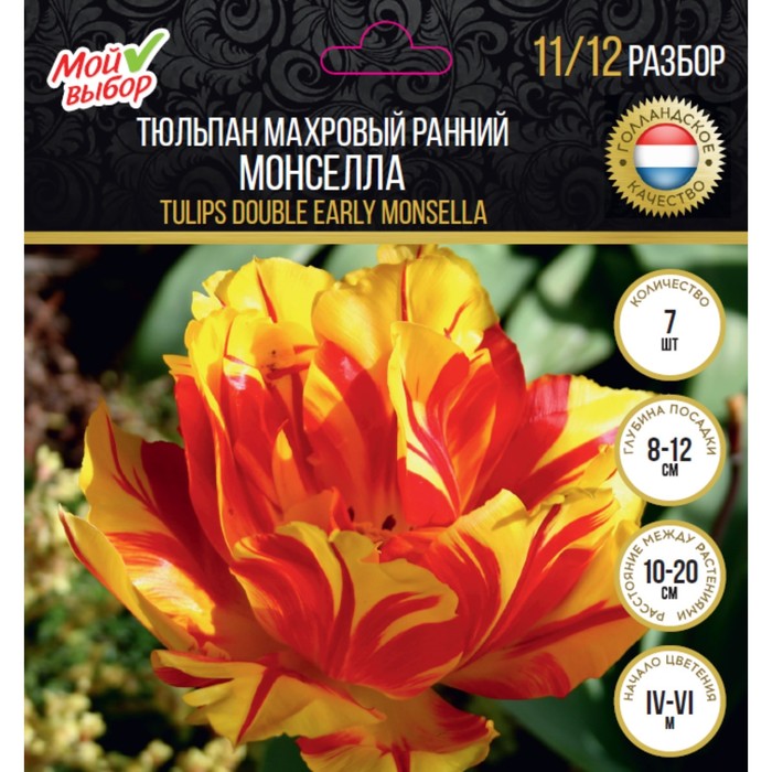 Тюльпан махровый ранний Монселла, р-р 11/12, 7 шт