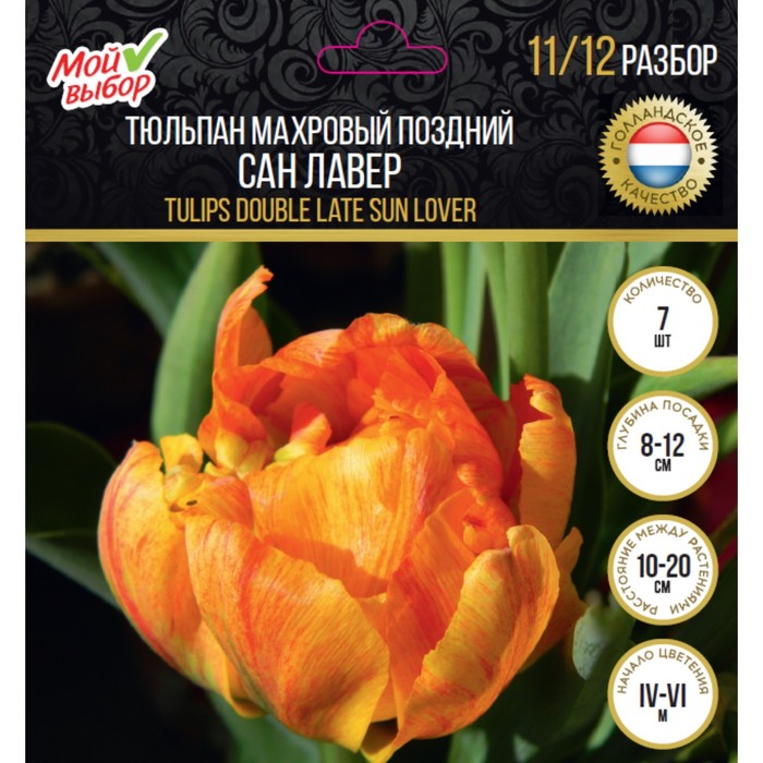 Тюльпан махровый поздний Сан Лавер, р-р 11/12, 7 шт