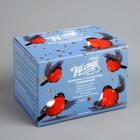 Гирлянда «Бахрома» 1.8 × 0.5 м с насадками «Снежинки», IP20, прозрачная нить, 48 LED, свечение мульти (RG/RB), мигание, 220 В 3556861