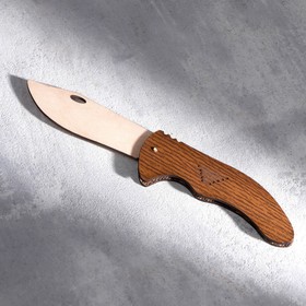 Сувенирное оружие "Нож складной", 11,5х20 см