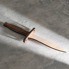 Souvenir weapon "Knife-dagger"