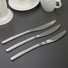 Набор ножей столовых Доляна «Майя», h=23 см, 3 шт, цвет серебряный - фото 6606289
