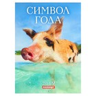 Календарь на скрепке "Символ года - 3" 2019 год, 21,5х29,5см Календарь на скрепке "Символ года - 3" 2019 год, 21,5х29,5см