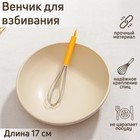 Whisk cooking 18.5 cm Express, MIX color