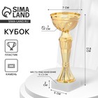 Кубок спортивный 162 Кубок спортивный 162