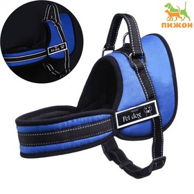 The harness with lining, size L (OSH 66, OG 66-80 cm) webbing 2.5 cm, blue