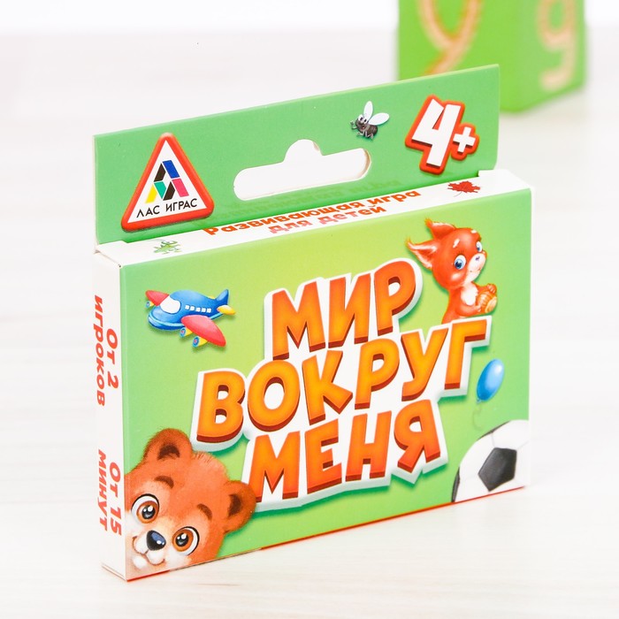 Игра развивающая &quot;Мир вокруг меня&quot;