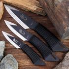 Knife set in sheath, 3 PCs, black