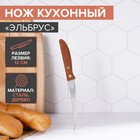 The kitchen knife "Elbrus", blade 12 cm