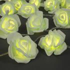НИТЬ с насадками 5 м "Розы зеленые" 7 см, Н. С. УМС вилка, 20 LED-220V, фиксинг,ТЕПЛЫЙ БЕЛЫЙ