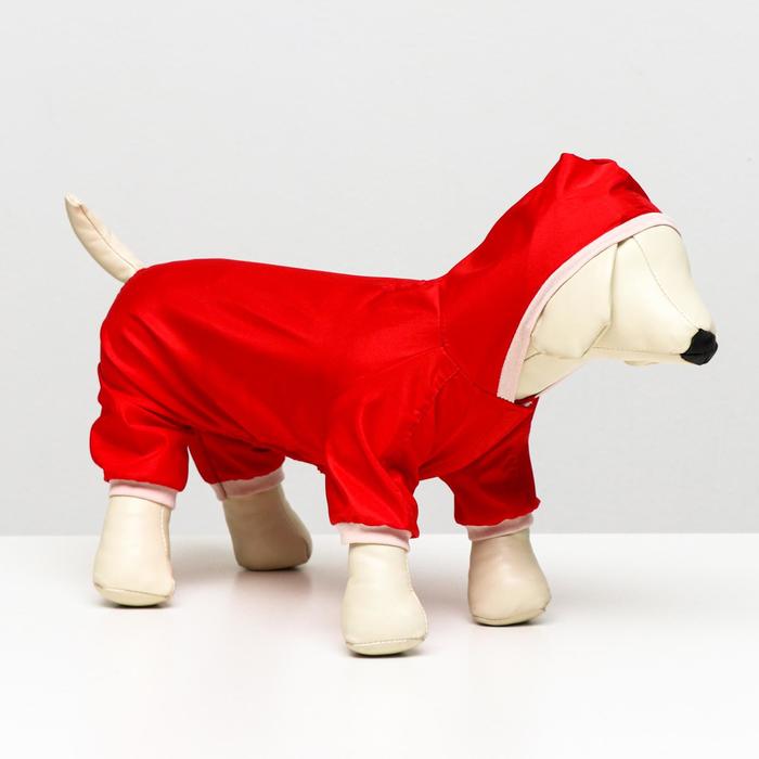 Комбинезон  для собак, размер 2XL (ДС 34-36 см, ОШ 34-36 см, ОГ 44-48 см), красный - фото 799496168