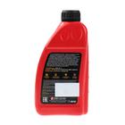 Масло моторное DIVINOL Syntholight DPF 5W-30, 1 л, 49180 3937907