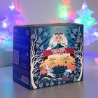 Гирлянда «Нить» 2 м с насадками «Ёлка матовая», IP20, прозрачная нить, 30 LED, свечение мульти (RG/RB), мигание, 220 В 3612451