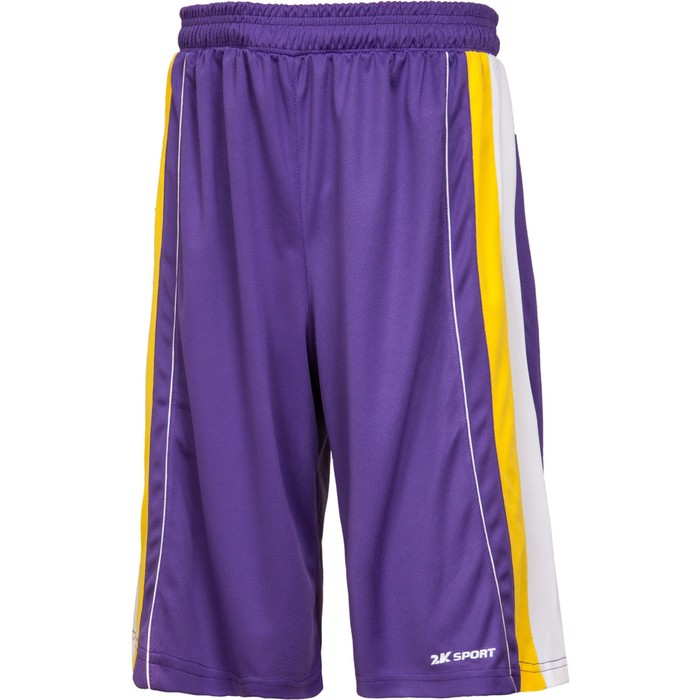 Баскетбольные игровые шорты 2K Sport Advance violet/yellow/white, L