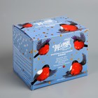 Гирлянда «Бахрома» 1.8 × 0.5 м с насадками «Ёжики», IP20, прозрачная нить, 48 LED, свечение мульти (RG/RB), мигание, 220 В 3556862