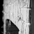 Гирлянда «Бахрома» 1.8 × 0.5 м с насадками «Звёзды», IP20, прозрачная нить, 48 LED, свечение мульти (RG/RB), мигание, 220 В 3556863