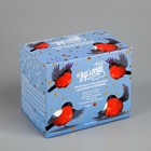 Гирлянда «Бахрома» 1.8 × 0.5 м с насадками «Шарики и ёжики», IP20, прозрачная нить, 48 LED, свечение мульти (RG/RB), мигание, 220 В 3556866