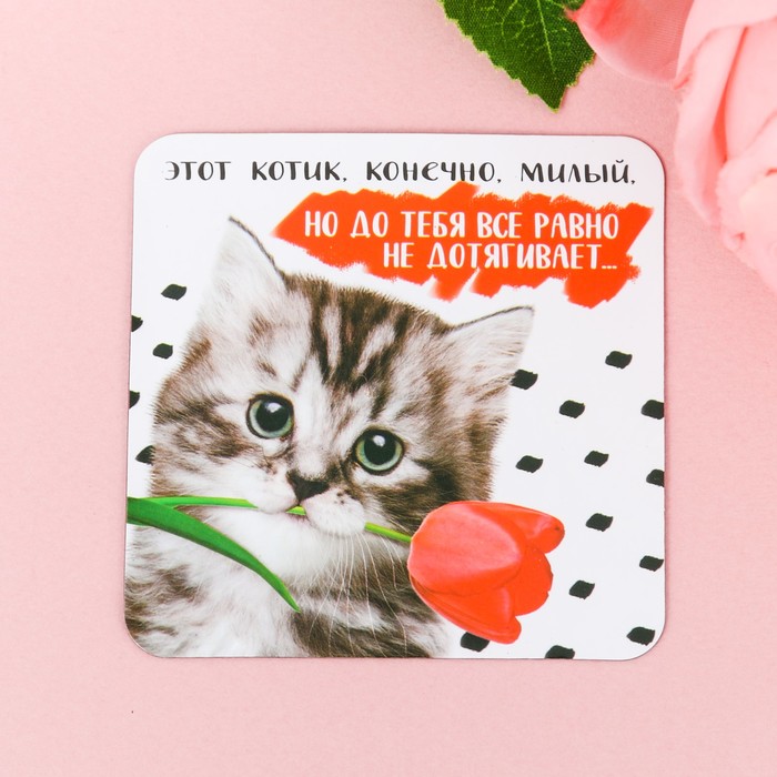 7 Котов Интернет Магазин