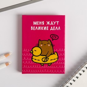 Блокнот "Меня ждут великие дела", А7, твёрдая обложка, 64 листа 3809564