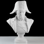Гипсовая фигура, бюст Наполеона «Мастерская Экорше», 36 х 21 х 53 см Гипсовая фигура, бюст Наполеона «Мастерская Экорше», 36 х 21 х 53 см